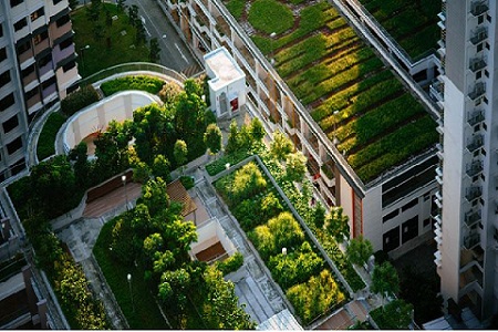SBTi validates Lodha’s targets of 97.9% reduction in Scope 1, 2 emissions by FY 2028; 51.6% reduction in Scope 3 emissions by FY 2030